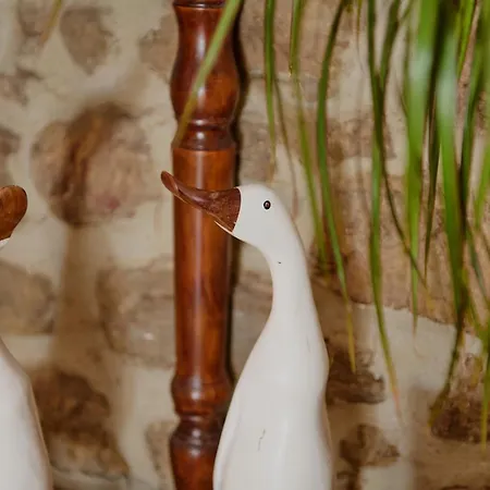 Hébergement de vacances Tia Josefa Lon