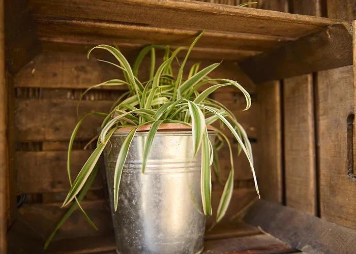 Tia Josefa Holiday home Lon